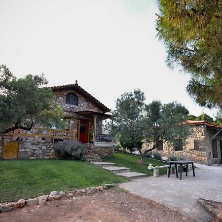 Kladi House Renovated 2023 Villa Nikiti  Bagian luar foto
