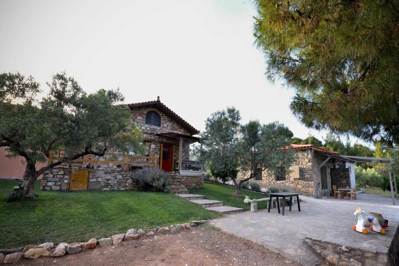 Kladi House Renovated 2023 Villa Nikiti  Bagian luar foto
