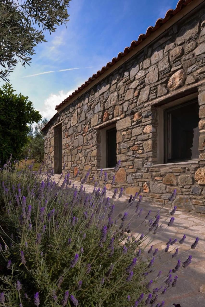 Kladi House Renovated 2023 Villa Nikiti  Bagian luar foto